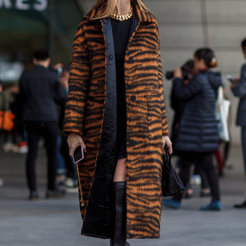 Bottega Veneta Tiger Coat